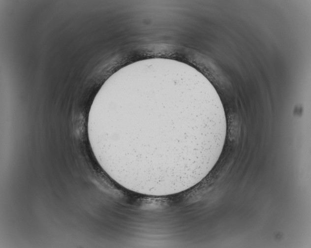 X0000096630077200803041113