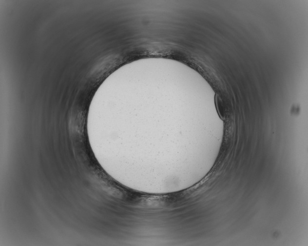 X0000096630078200803041113