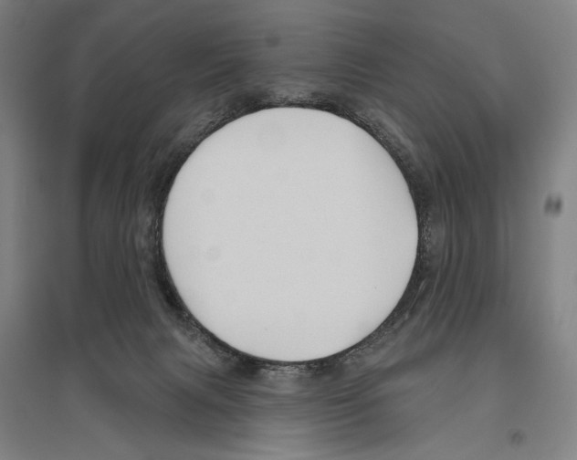 X0000096630079200803041113
