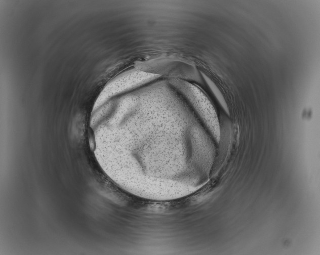 X0000096630080200803041113