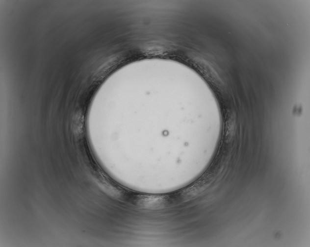 X0000096630081200803041113