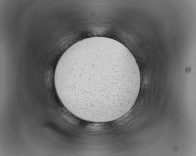 X0000096630082200803041113