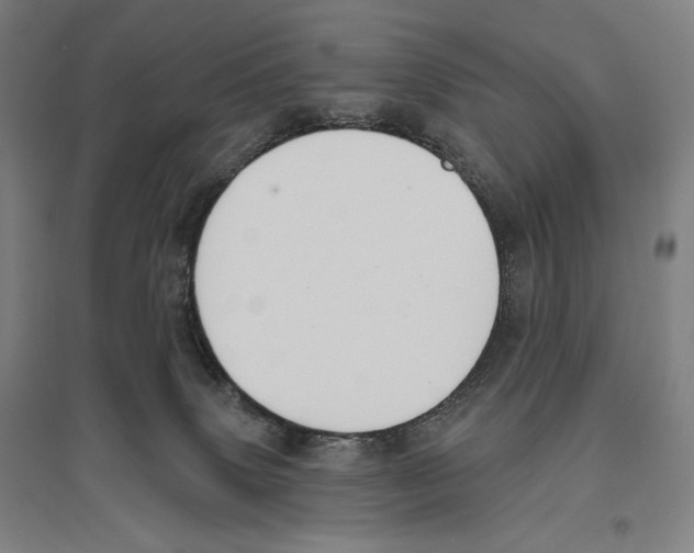 X0000096630083200803041113