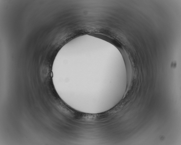 X0000096630084200803041113