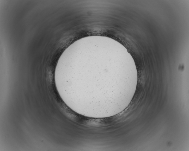 X0000096630086200803041113