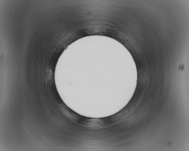 X0000096630087200803041113
