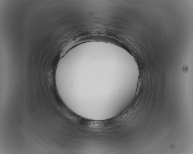 X0000096630088200803041113