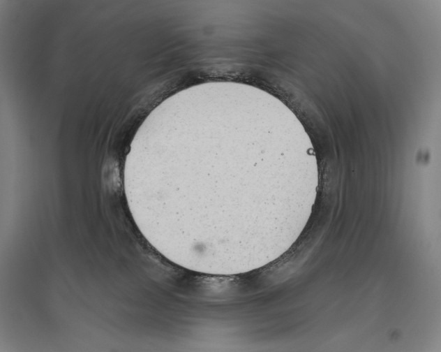 X0000096630089200803041113