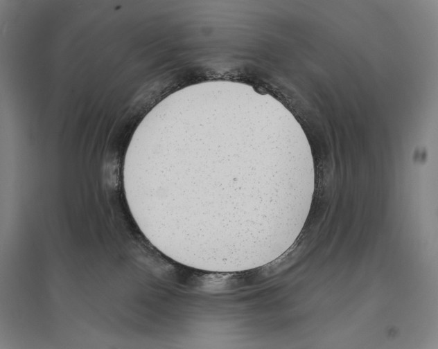 X0000096630090200803041113