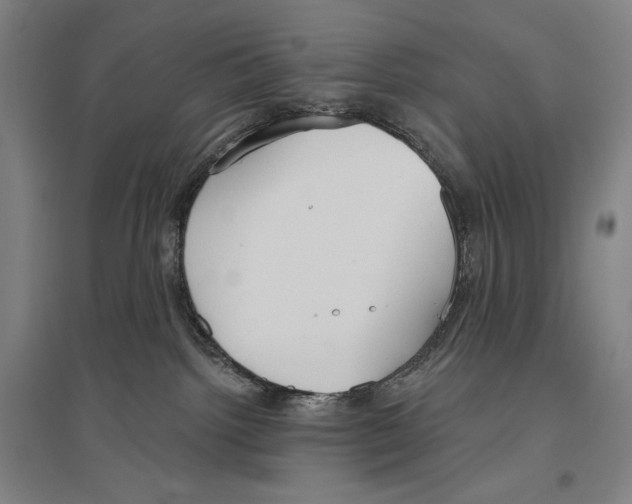 X0000096630092200803041113