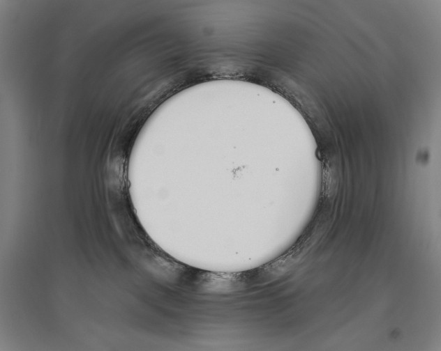 X0000096630093200803041113