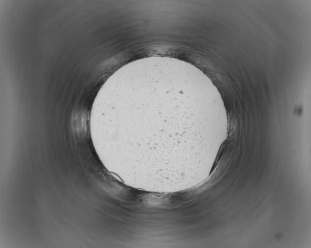 X0000096630094200803041113