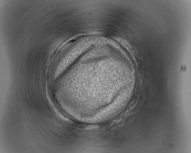 X0000096630097200803041113