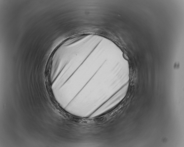 X0000096630099200803041113