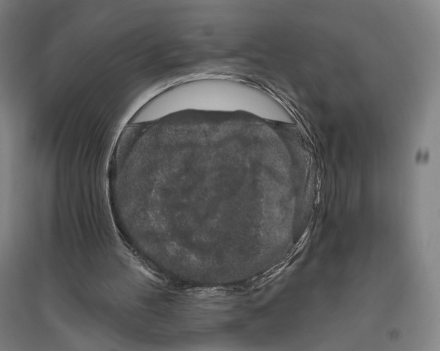 X0000096630100200803041113
