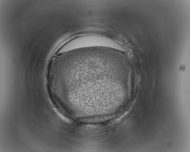 X0000096630101200803041113
