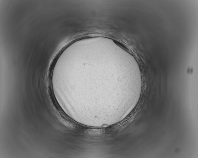 X0000096630102200803041113