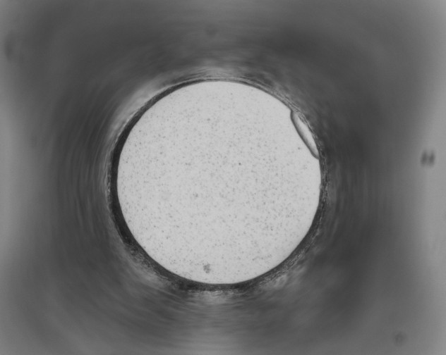 X0000096630103200803041113