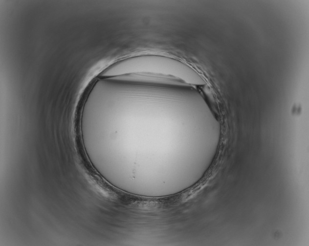 X0000096630104200803041113