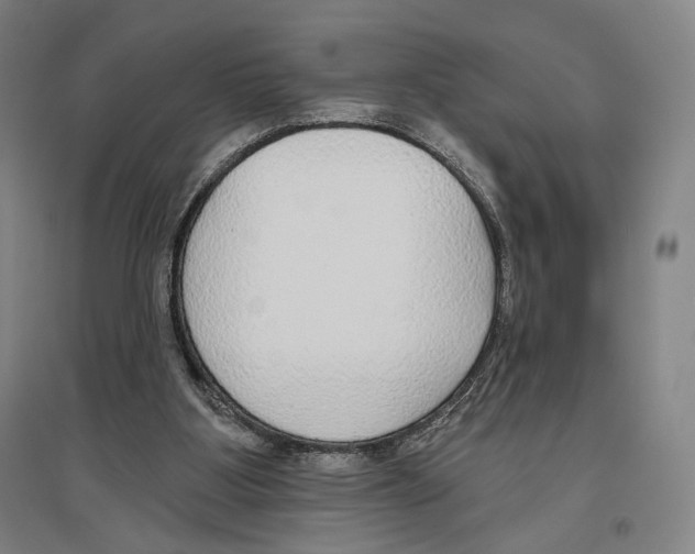 X0000096630107200803041112