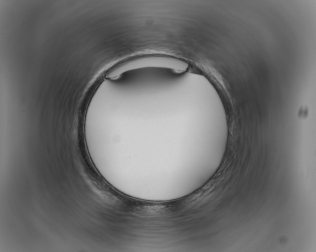 X0000096630108200803041112