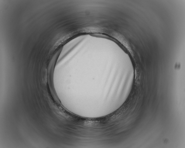 X0000096630109200803041112