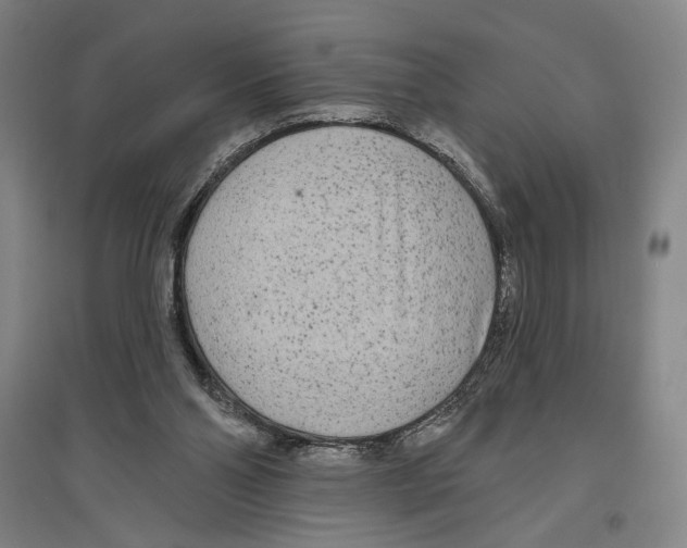 X0000096630110200803041112