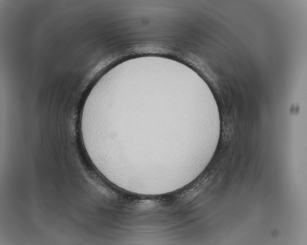 X0000096630111200803041112