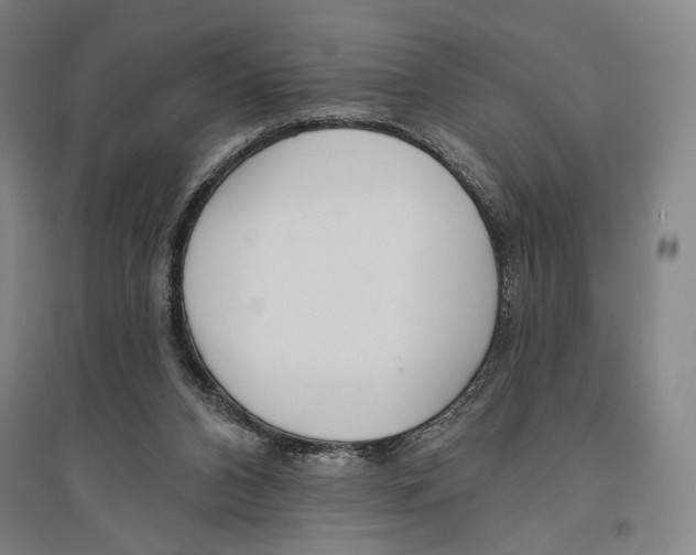 X0000096630112200803041112