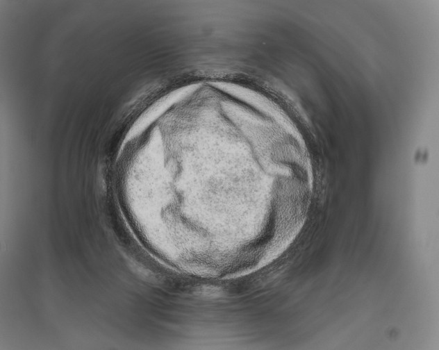 X0000096630114200803041112