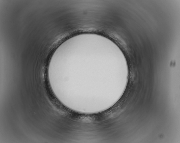 X0000096630115200803041112