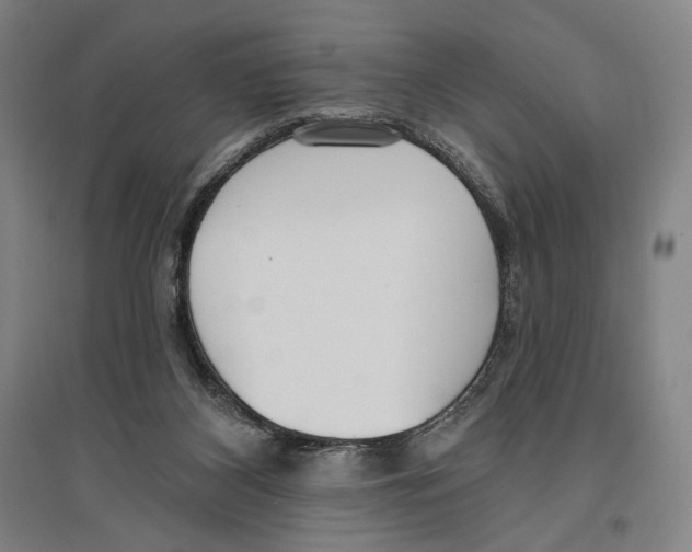 X0000096630116200803041112