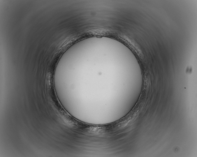 X0000096630117200803041112