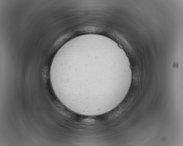 X0000096630119200803041112
