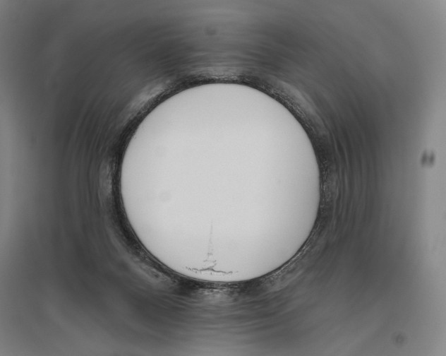 X0000096630120200803041112