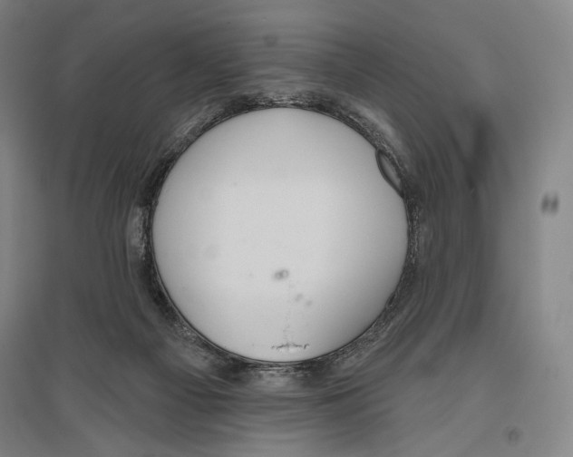 X0000096630121200803041112