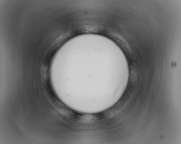 X0000096630123200803041112