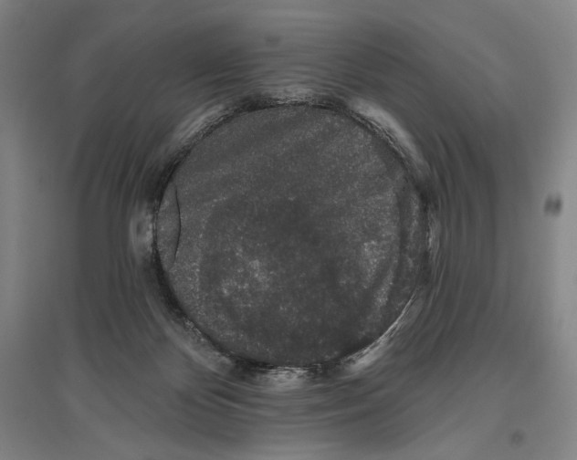 X0000096630124200803041112