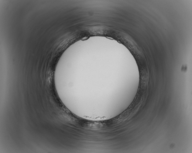 X0000096630125200803041112