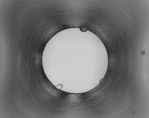 X0000096630126200803041112