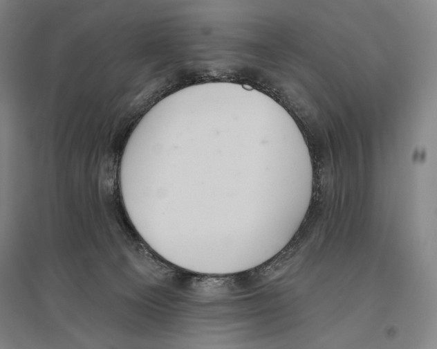 X0000096630129200803041112