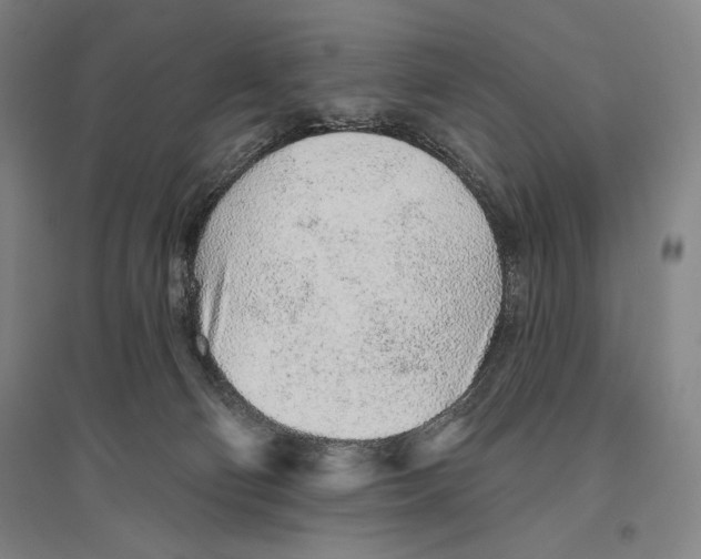 X0000096630130200803041112