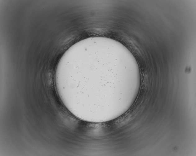X0000096630131200803041112