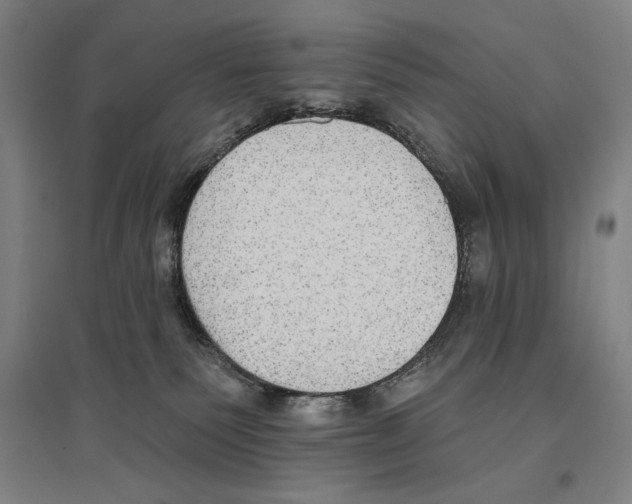 X0000096630135200803041112