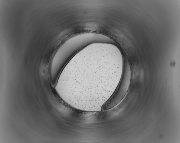 X0000096630136200803041112