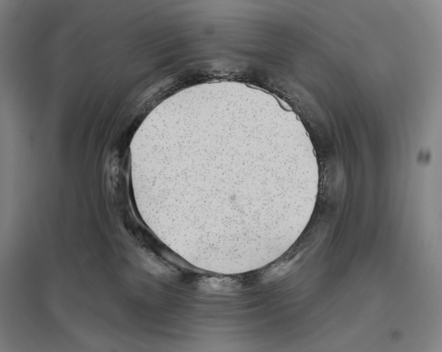 X0000096630137200803041112