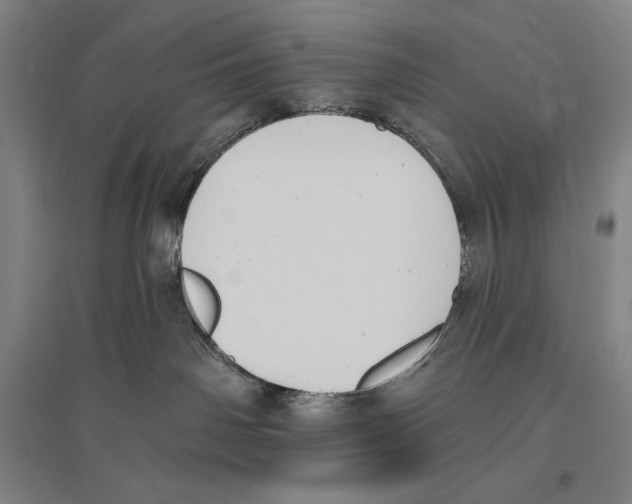 X0000096630142200803041112