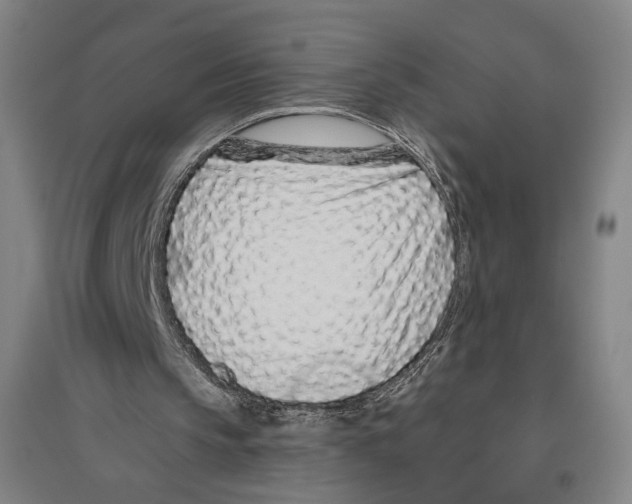 X0000096630145200803041111