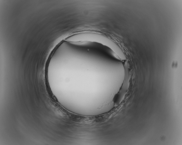 X0000096630148200803041111