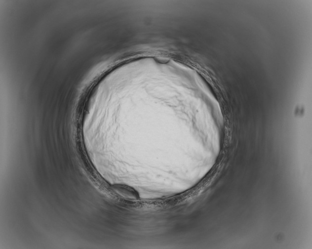 X0000096630149200803041111